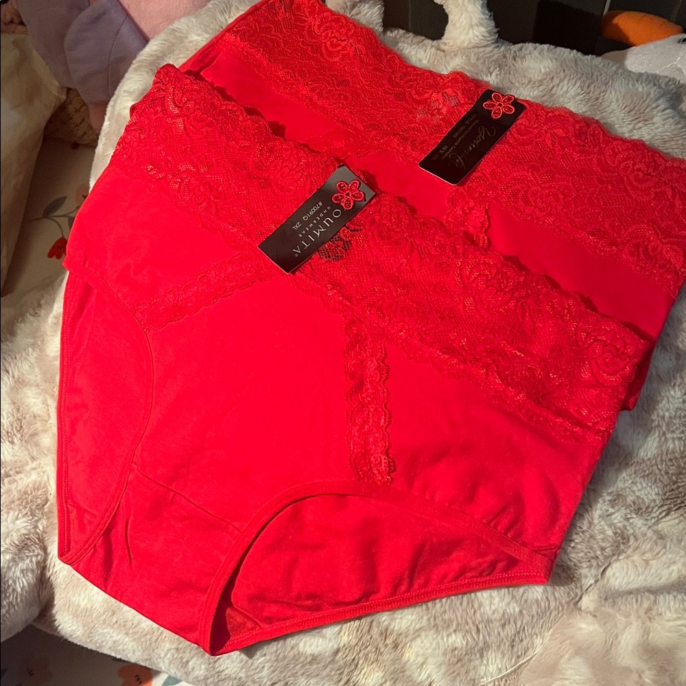 Red Lace High Waisted Underwear